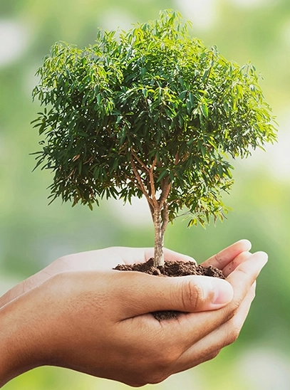 Journée Mondiale de l’Environnement – ENGEN DRC lutte contre la pollution plastique à Kinshasa 